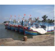 WB Tài Trợ 47 Tỷ Đồng Nâng Cấp Mở Rộng Cảng Cá Ở Bình Định