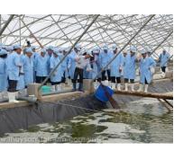 Bình Định chấp thuận dự án nuôi tôm trong nhà kính