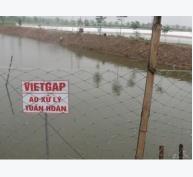 TPHCM ban hành chính sách VietGAP trong nông nghiệp và thủy sản