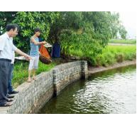 Hoàng Quế (Quảng Ninh) phát huy thế mạnh nuôi trồng thủy sản