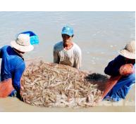 Phát triển nghề nuôi trồng thủy sản theo hướng bền vững