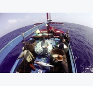 Hội Nghề cá Việt Nam: Khó khăn không ngăn hành động
