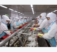 Tin vui: Tôm tẩm ướp được dỡ bỏ lệnh cấm nhập khẩu vào Úc