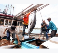 Nhiều mặt hàng thủy, hải sản ở tỉnh Bạc Liêu tăng giá mạnh