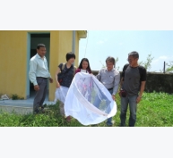 Nghiên cứu sự biến động của quần thể rầy nâu ở Phú Yên