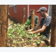 Học nông dân Kenya trồng rau sạch trên thân chuối