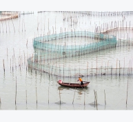 Tiên phong trong nuôi trồng thủy sản tích hợp tại Trung Quốc