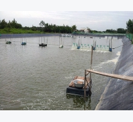 Tăng cường quản lý nuôi trồng thủy sản mùa nắng nóng