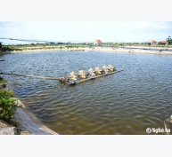 Nông dân Nghệ An làm nhà lưới chống nóng cho tôm
