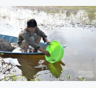 Tăng cường quản lý nuôi trồng thủy sản mùa mưa bão