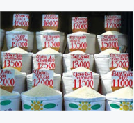 Giá Gạo Thơm Xuất Khẩu Trở Lại Mức Trên 600 USD/tấn