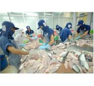 Mỹ Điều Chỉnh Thuế Nhập Khẩu Đối Với Cá Tra Việt Nam