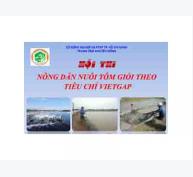 Tổ Chức Hội Thi “Nông Dân Nuôi Tôm Giỏi Theo Tiêu Chí Vietgap” Năm 2014