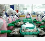 Châu Á áp dụng tiêu chuẩn EU cho thủy sản nhập từ Việt Nam