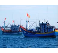 Quảng Nam sẽ có thêm 13 tàu đánh bắt xa bờ ;