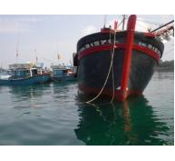 Quảng Ngãi hỗ trợ ngư dân gần 44 tỷ đồng