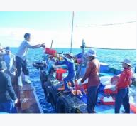 Đà Nẵng có thêm một HTX dịch vụ hậu cần nghề cá được thành lập