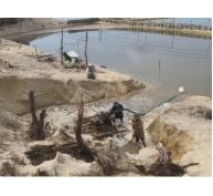 Lấn, chiếm đất để làm hồ nuôi tôm tại các địa phương ven biển: Cần xử lý dứt điểm