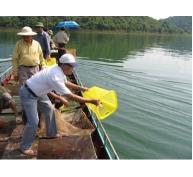 Tăng cường công tác bảo vệ nguồn lợi thủy sản
