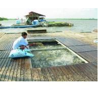 Việt Nam thúc đẩy nuôi trồng thủy sản có trách nhiệm