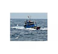 Bồi thường bảo hiểm cho tàu cá ngư dân theo Nghị định 67