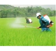  Bảy tháng Việt Nam nhập trên 9.000 tỷ thuốc trừ sâu và nguyên liệu