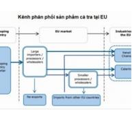 Vì sao xuất khẩu cá tra sang EU giảm?