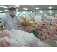 Việt Nam tăng xuất khẩu cá tra sang Trung Quốc, Hồng Kông