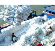 Xuất khẩu gạo tiếp tục giảm cả lượng và giá