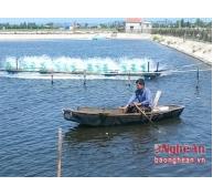 Đẩy mạnh nuôi trồng thủy sản an toàn