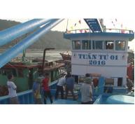 Cửa Lò (Nghệ An) tàu cá vỏ Composite đánh được hơn 20 tấn cá trong 1 chuyến ra khơi