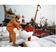 Lộ tử huyệt khiến xuất khẩu gạo sụt giảm