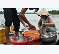 Hàng chục tấn cá nuôi chết trắng ở Bình Phước