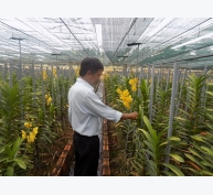 Vườn lan nhiệt đới công nghệ cao ở Khánh Hòa