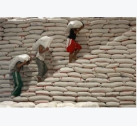 Campuchia tăng cường xuất khẩu gạo