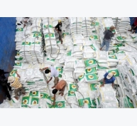Ai Cập tiếp tục cấm xuất khẩu gạo