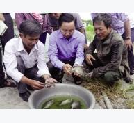 Nuôi trồng thủy sản ở miền Trung: Để hiệu quả mà vẫn bền vững
