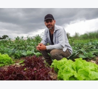 Người Brazil chung tay giúp nông dân organic