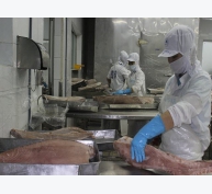 Nhiều lợi thế xuất khẩu cá ngừ sang ASEAN