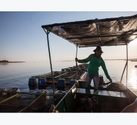 Tăng hỗ trợ tín dụng và giá tham chiếu thủy hải sản tại Brazil