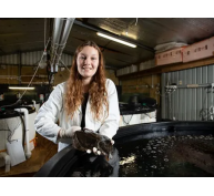 Các nhà khoa học New Zealand khởi động chương trình chăn nuôi cá bơn mới lạ