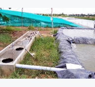 Mô hình xử lý nước thải nuôi tôm bằng bể biogas ở Trà Vinh