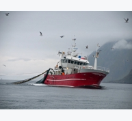 Liệu ngành nuôi trồng thủy sản có thể thực sự giảm bớt áp lực đánh bắt thủy sản hay không?
