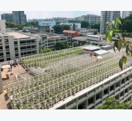 Chiến lược nông nghiệp đô thị của Singapore