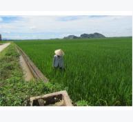 Chuyển Đổi Ruộng Đất Ở Xã Vĩnh Quang