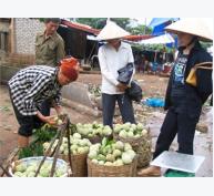 Na Lạng Sơn Vào Vụ