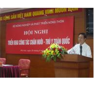 Ngành Chăn Nuôi Đang Dần Hồi Phục