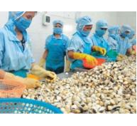 Hướng phát triển nào cho ngành nuôi thủy sản Thái Bình?
