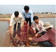 Bạc Liêu phát triển mô hình nuôi tôm thâm canh bán thâm canh