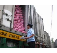 Phá giá nhân dân tệ xuất khẩu nông sản Việt thiệt hại lớn